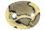 Polished Septarian Bowl - Madagascar #204666-2
